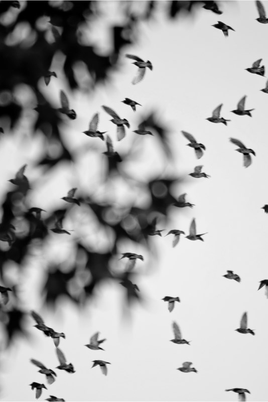 Profilbild von Birgit Seidensticker-Eckardt